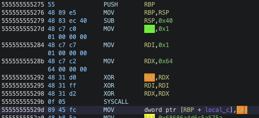 Ghidra disassembly of syscall