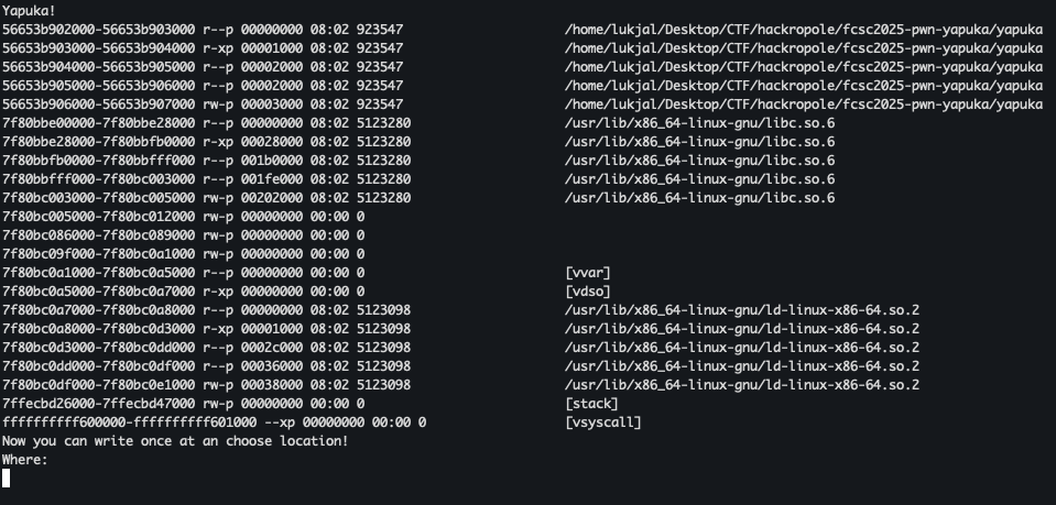 Screenshot of binary output
